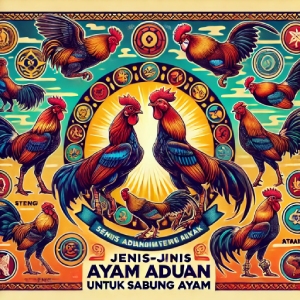 Jenis-Jenis Ayam Aduan Terbaik untuk Sabung Ayam